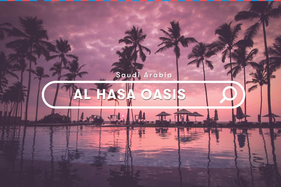 Explore Saudi Arabia: Exploring Al Hasa Oasis