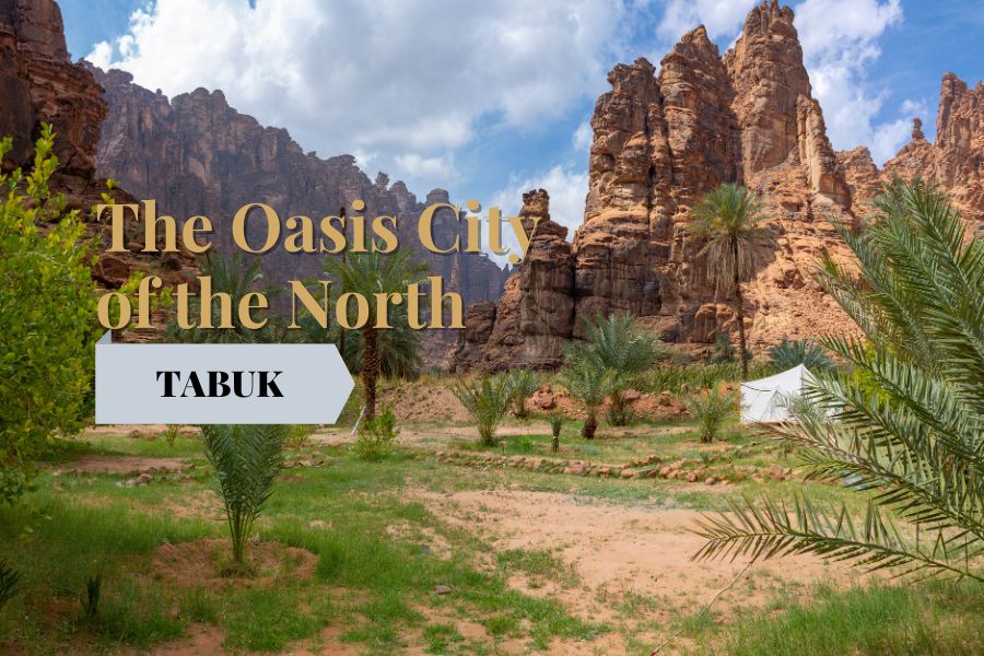 Oasis City of The North
