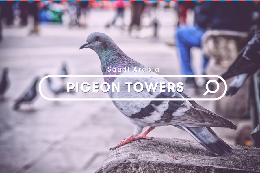 Explore Saudi Arabia: Pigeon Tower